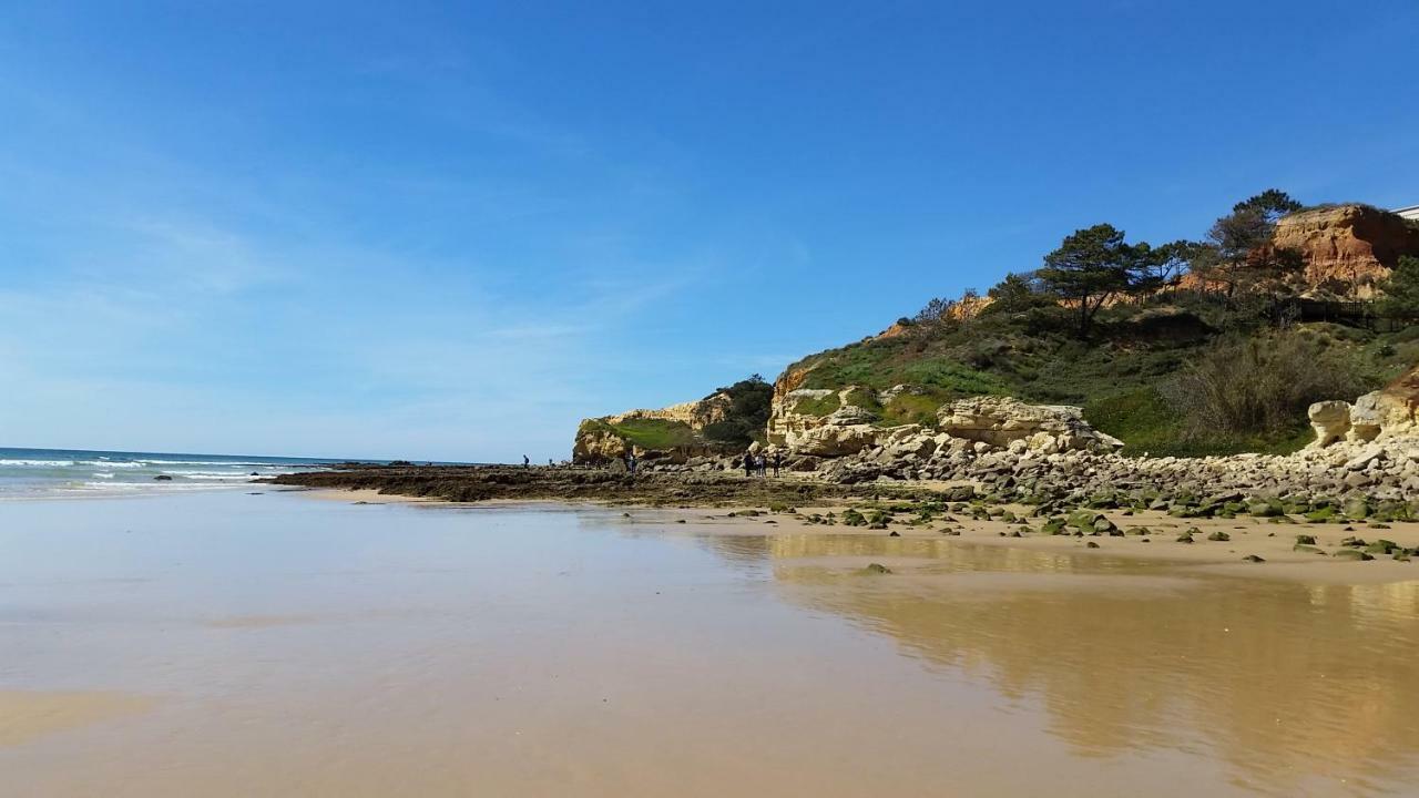 Vista Das Ondas Olhos De Agua البوفيرا المظهر الخارجي الصورة